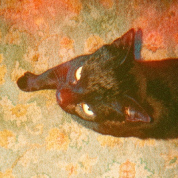 salemlucifer
